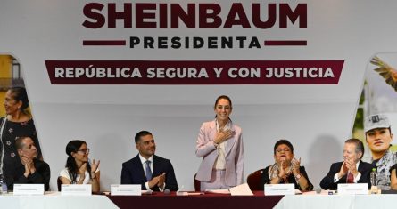 Claudia Sheinbaum Pardo, candidata presidencial de la izquierda, presentó la tarde de este lunes la estrategia de seguridad y justicia que buscará implementar en México si gana las elecciones del próximo 2 de junio, la cual está encaminada a atender las causas y a profundizar el rescate social.