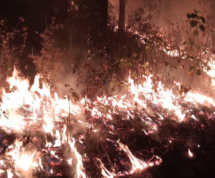 Inciendio forestal en Donato Guerra, municipio del Estadod de México.