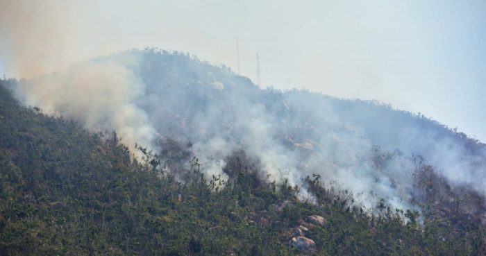 Dos incendios forestales consumieron más de 40 hectáreas del Parque Nacional El Veladero, conformado por los cerros que rodean la bahía de Acapulco, al inicio de Marzo