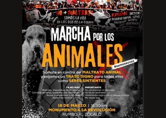 marcha cdmx maltrato animal 