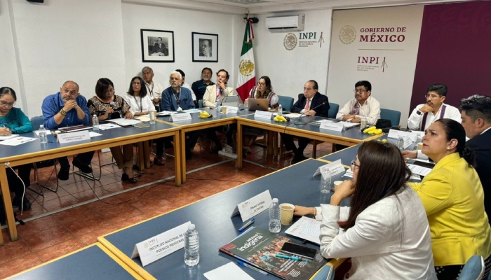 EI INPI destaca en su informe, la Iniciativa de Reforma Constitucional sobre los Derechos de los Pueblos Indígenas y Afromexicano, enviada por el presidente de la República al Congreso de la Unión para su análisis y dictaminación; la creación de la Universidad de las Lenguas Indígenas de México (ULIM), y el Consejo Nacional de los Pueblos Indígenas.