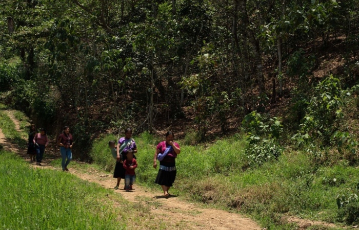 Después del enfrentamiento entre grupos armados que se vivió en algunas comunidades de Pantelho, más de 80 familias de la comunidad de La Esperanza, Chenalhó, se vieron obligadas el día 16 de abril a dejar sus hogares para buscar refugio.