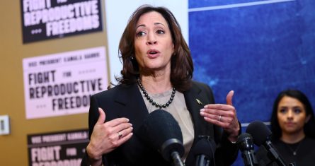 La Vicepresidenta Kamala Harris habla en unas instalaciones de la organización Planned Parenthood, el 14 de marzo de 2024, en St. Paul, Minnesota.