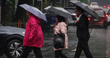 La temperatura mínima pronosticada para la Ciudad de México es de 12 a 14 grados Celsius y la máxima de 24 a 26 grados. Las autoridades capitalinas recomiendan barrer coladeras y mantenlas libres de basura u objetos que las obstruyan; así como no verter grasas en el drenaje