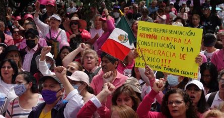 La "Marea Rosa" protesta frente al INE.