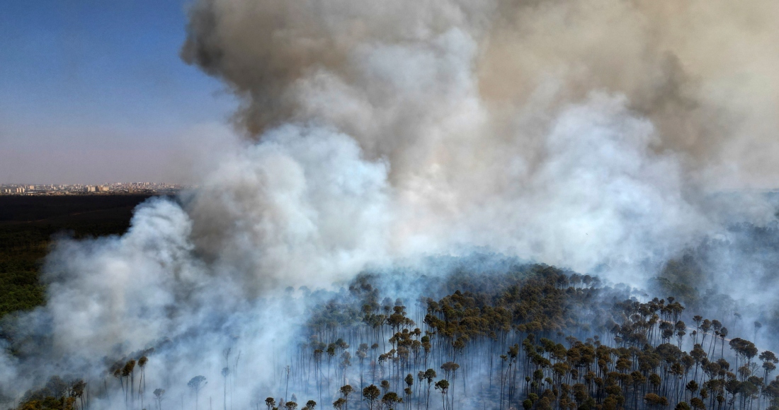 Un incendio avanza en el Bosque Nacional de Brasilia en medio de la temporada de sequía, el martes 3 de septiembre de 2024, en Brasil.