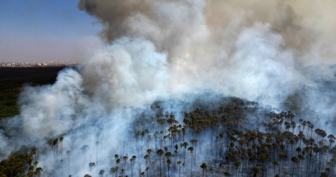 Un incendio avanza en el Bosque Nacional de Brasilia en medio de la temporada de sequía, el martes 3 de septiembre de 2024, en Brasil. 