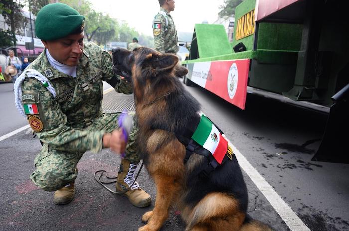 Desde muy temprana hora, las y los integrantes de las Fuerzas Armadas se alistaron para participar en el Desfile Cívico Militar.