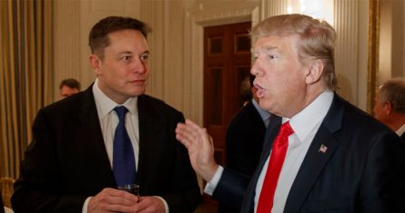 elon-musk-donald-trump