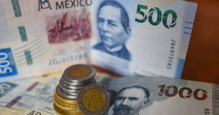 Las y los jubilados bajo dicho esquema tienen derecho a recibir un aumento cada año y el pago mensual se basa en el salario promedio de sus últimas 250 semanas de cotización y el tiempo trabajado registrado en el Instituto.