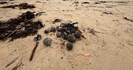 esferas-negras-playas-australia