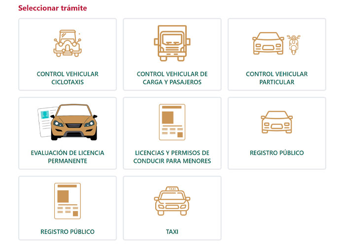 captura-de-pantalla-de-sitio-para-trámite-de-licencia-de-conducir-permanente