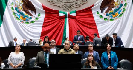 legisladores-de-morena-en-la-cámara-de-diputados