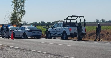 Patrullas en la autopista donde fueron encontrados los siete cuerpos en la zona rural de Culiacán