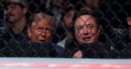 musk-trump-relacion-politica