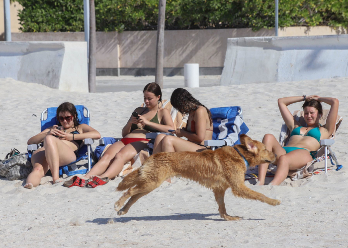 Ola de calor en Puerto Progreso, Yucatán.