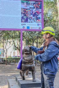 Rinden homenaje a perrita rescatista