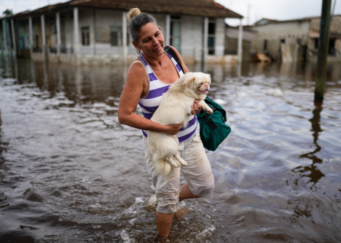 Mujer y su perro luego del huracán "Rafael"