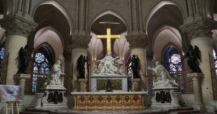 Primer vistazo al interior de la Catedral de Notre Dame