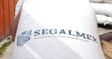 Un saco de maíz con el logotipo de Segalmex