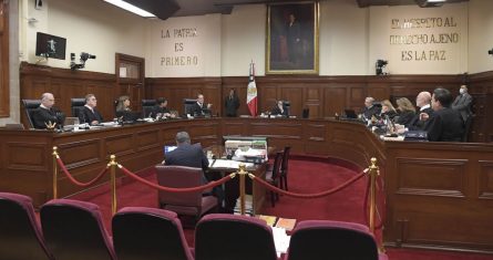 Diversas figuras con pasado político o en el Poder Judicial han hecho pública su intención de participar en la Elección de 2025 como aspirantes al Pleno de la Suprema Corte de Justicia de la Nación.