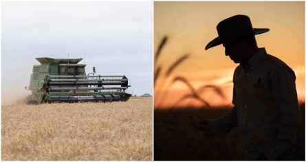 Agricultura regenerativa de Grupo Bimbo.