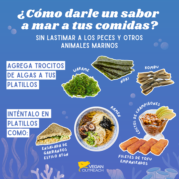 Hay opciones que brindan sabor a mar a la comida sin ser peces.