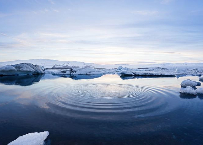 El hielo flotante en el Ártico. 