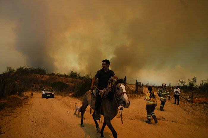 incendio forestal en Viña del Mar