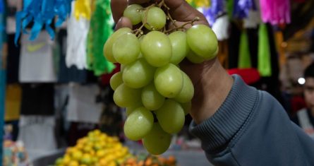 Doce uvas al 2025