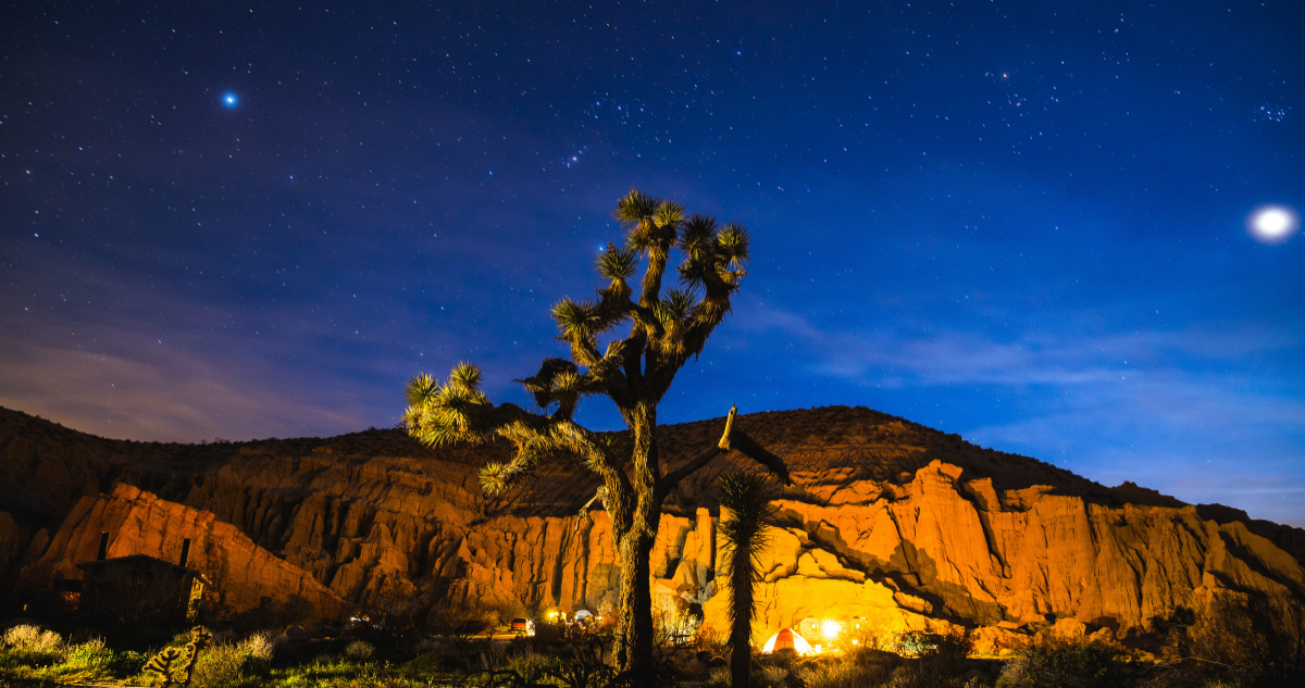 Reserva Nacional Mojave