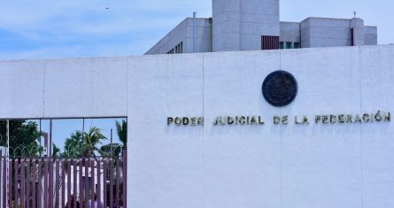 Los candidatos para la elección del Poder Judicial