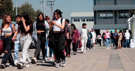 Qué carreras ofrece la Universidad Rosario Castellanos