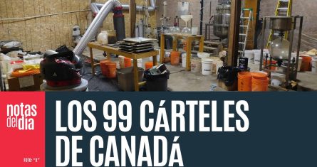 Estalla bomba a los canadienses: grupos locales producen más fentanilo de exportación