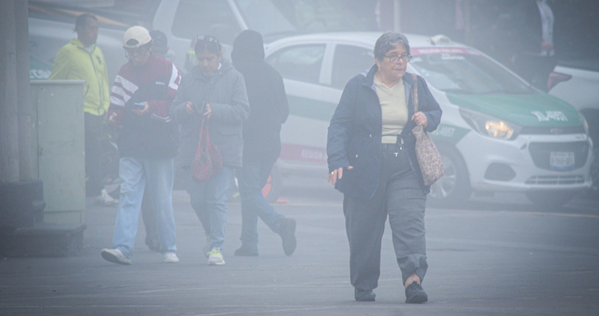 El frente frío 24 y el aire ártico provocan heladas, lluvias y nieve en gran parte de México.