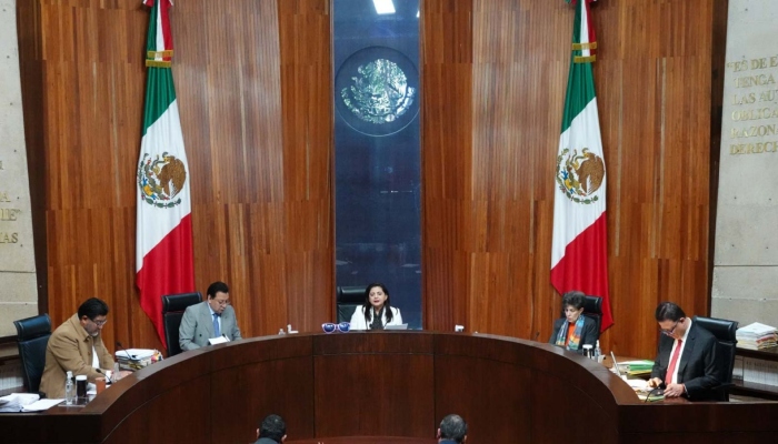 Sheinbaum celebra fallo del TEPJF para que Comité del Poder Judicial reanude labores.