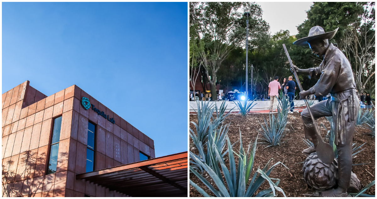 Tequila Lab es más que un museo, es un espacio interactivo lleno de experiencias para todas las edades.