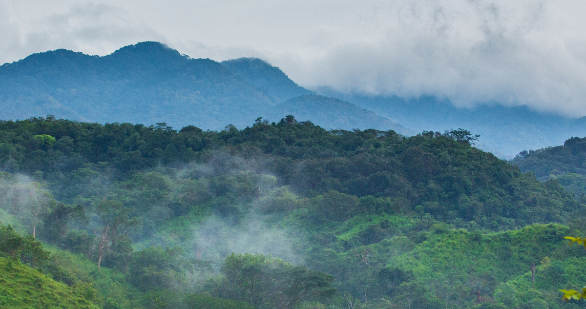 Canoas, un paraíso natural en Manzanillo perfecto para la aventura