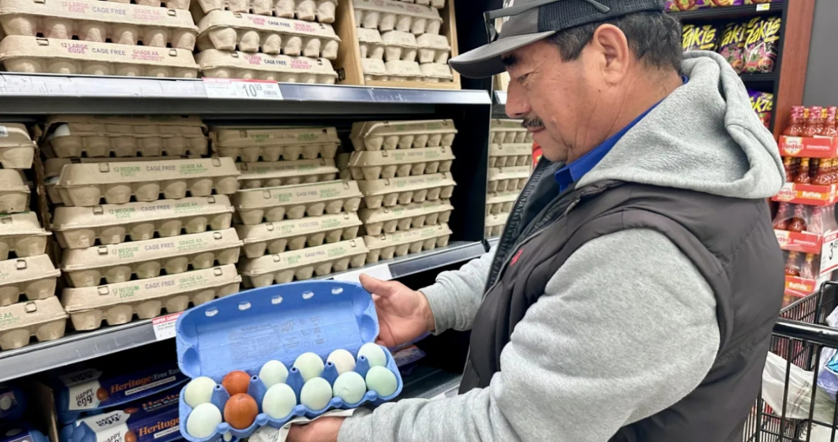 Altos precios en huevos alcanzan niveles críticos en LA; familias buscan ofertas