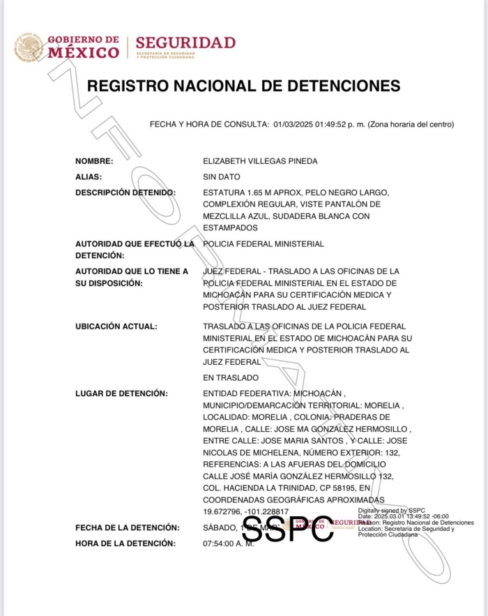 Ficha Elizabeth Villegas Pineda. Fuente:Registro Nacional de Detenciones.