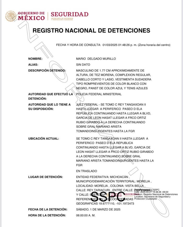 Ficha Mario Delgado Murillo. Fuente: Registro Nacional de Detenciones