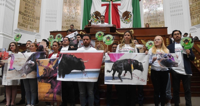 La fiesta de la sangre terminó: el Congreso de la CdMx aprueba corridas sin asesinato